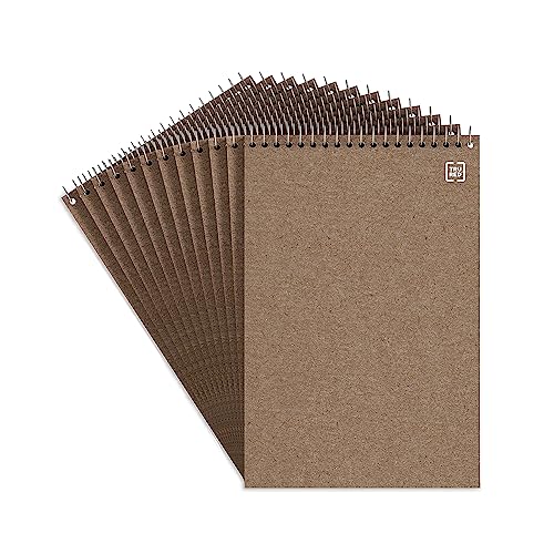 STAPLES Recycled Steno Book, 6" x 9", 12_Pack