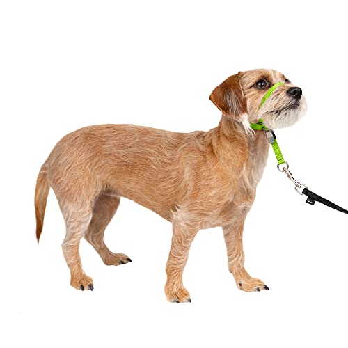 PetSafe Gentle Leader No-Pull Dog Headcollar - The Ultimate Solution to Pulling - Redirects Your Dog