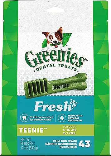 Gn Flavors Mint 12oz Teenie 43ct