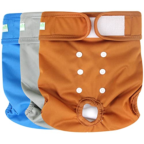 wegreeco Washable Female Dog Diapers (Pack of 3)