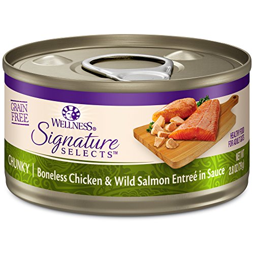 Wellness CORE Grain-Free Signature Selects Wet Cat Food, Natural Pet Food Made with Real Meat (Chunky Chicken & Salmon, 2.8-Ounce, Pack Of 12)