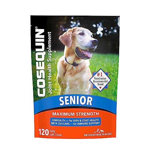 Cosequin Nutramax Senior Joint Health Supplement for Senior Dogs - with Glucosamine, Chondroitin, Omega-3 for Skin and Coat Health and Beta Glucans for Immune Support, 120 Soft Chews