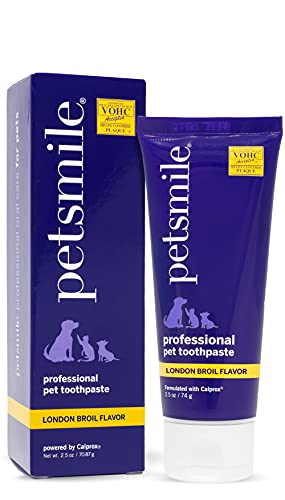 Petsmile Professional Pet Toothpaste - Cat & Dog Teeth Cleaning Supplies - Controls Plaque, Tartar, & Bad Breath - VOHC Accepted Toothpaste - Pet Dental Care Essentials (London Broil, 2.5 Oz)