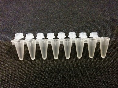 Stellar Scientific SeeMore 0.1mL 8-strip PCR tubes, LOW PROFILE w_clear flat caps 125x8, 1000_PK