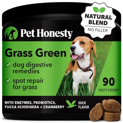 Pet Honesty Grass Green - Pee Grass Spot Saver Caused by Dog Urine, Gut Health Probiotics, Dog Urine Neutralizer for Lawn, Grass Burn Spot Chews, Cranberry, Apple Cider Vinegar, Dog Rocks (Duck 90 ct)