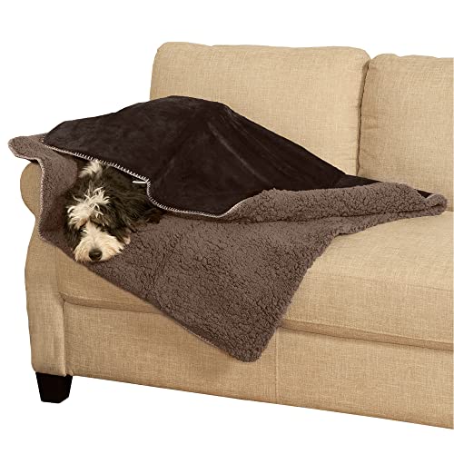 Furhaven Waterproof & Self-Warming Throw Blanket for Dogs & Indoor Cats, Washable & Reflects Body Heat - Terry & Sherpa Dog Blanket - Espresso, Large