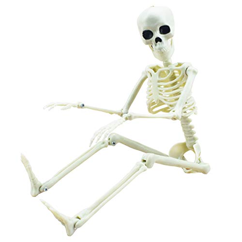 XONOR 16” Posable Halloween Skeleton- Full Body Halloween Skeleton with Movable Joints for Haunted House Props Decorations (1pc)