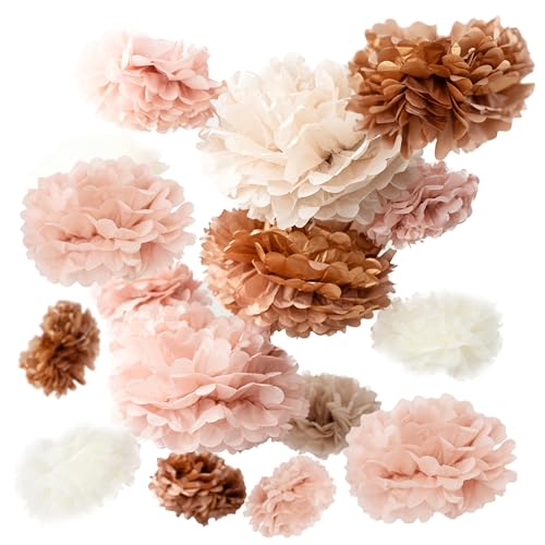 Vidal Crafts 20 Pcs Party Tissue Paper Pom Poms Set - Blush Pink Tissue Paper Flowers Decorations for Birthday Party, Bachelorette, Bridal Shower Decorations, Wedding, Baby Shower Decor, 6" to 14"