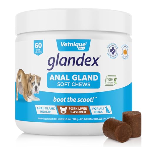 Glandex Anal Gland Soft Chew Treats with Pumpkin for Dogs Digestive Enzymes, Probiotics Fiber Supplement for Dogs Boot The Scoot (Pork Liver Chews, 60ct)