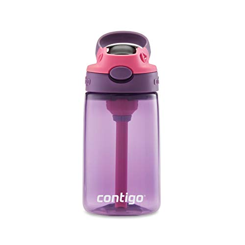 Contigo Aubrey Kids Cleanable Water Bottle with Silicone Straw and Spill-Proof Lid