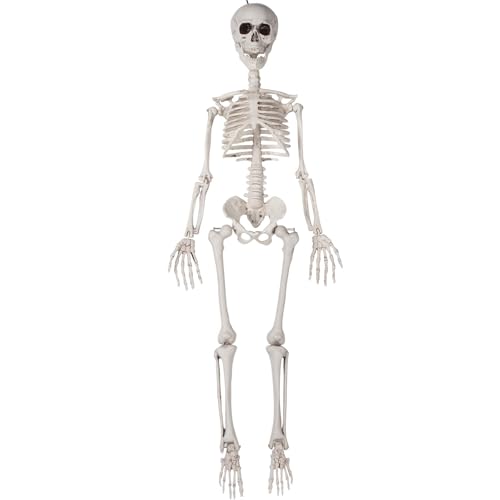 36" Skeleton Halloween Decorations, 3FT Hanging Posable Realistic Skeleton Decor for Indoor_Outdoor