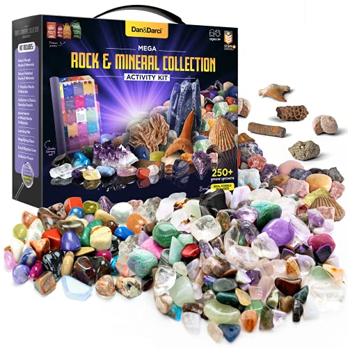 Rock Collection for Kids. Includes 250+ Bulk Rocks, Gemstones & Crystals + Genuine Fossils and Minerals - 2 Lbs. - Geology Science STEM Toys, Gifts for Boys & Girls Ages 6+. Earth Science Activity