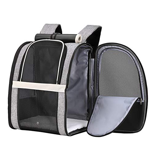 Texsens Pet Carrier Backpack with Window Blind for Small Cats Dogs, Ventilated Design, Safety Straps, Buckle Support, Collapsible, Designed for Travel, Hiking, Winter Outing, Outdoor, Go to Vet