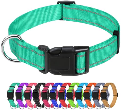 TagME Reflective Nylon Dog Collars, Adjustable Classic Dog Collar with Quick Release Buckle for Medium Dogs, Turquoise, 1.0" Width