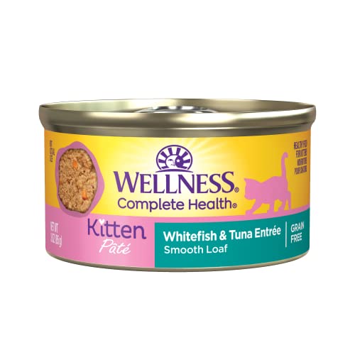 Wellness Complete Health Grain-Free Wet Canned Cat Food, Natural Ingredients, Made with Real Meat, All Breeds, Smooth Pate (Kitten, Whitefish, 3-Ounce Can, Pack of 24)