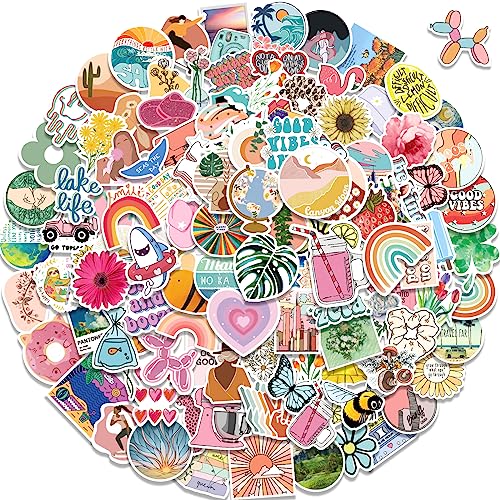 300 Pcs Aesthetic Stickers,VSCO Stickers Pack Waterproof Vinyl for Water Bottle,Laptop,Phone,Skateboard Stickers for Adults Girls and Kids