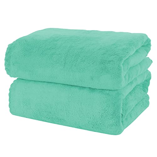 MOONQUEEN 2 Pack Premium Bath Towel Set - Quick Drying - Microfiber Coral Velvet Highly Absorbent Towels - Multipurpose Use as Bath Fitness, Bathroom, Shower, Sports, Yoga Towel (Aqua Green)