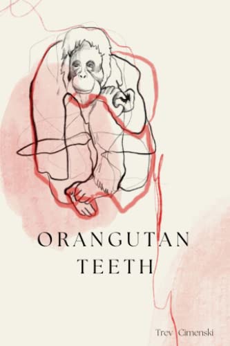 Orangutan Teeth