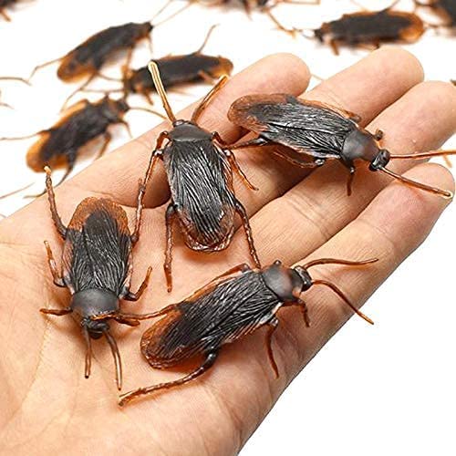 Ksquares Prank Fake Roaches, Favorite Trick Joke Toys Look Real, Scary Insects Realistic Plastic Bugs, Novelty Cockroach for Party, Christmas, Halloween (60)