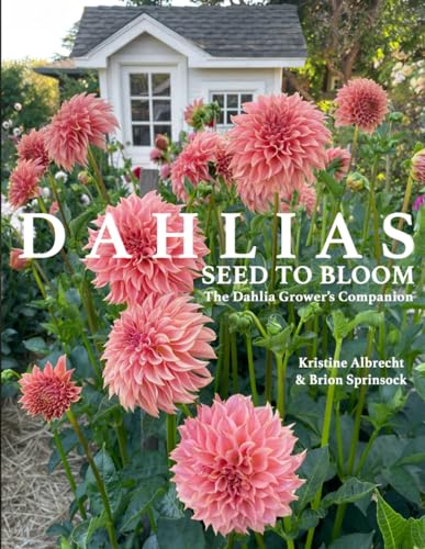 DAHLIAS: Seed to Bloom: The Dahlia Grower