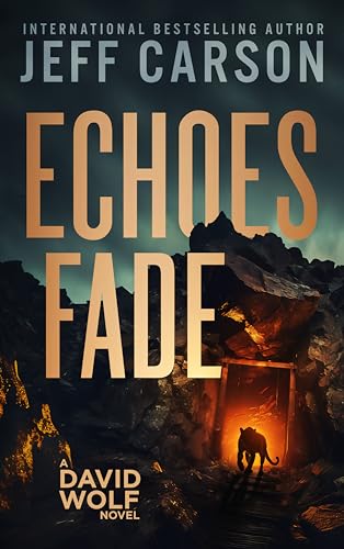 Echoes Fade (David Wolf Mystery Thriller Series Book 17)