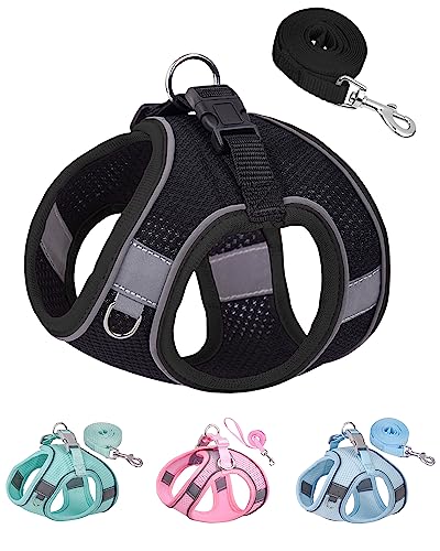 Solmoony Dog Harness for Small Medium Dogs No Pull, Puppy Harness and Leash Set, Puppy Harness for Small Dogs, Step in Harness for Small Dogs, Small Dog Harness, mesh Dog Harness. (Black, S)