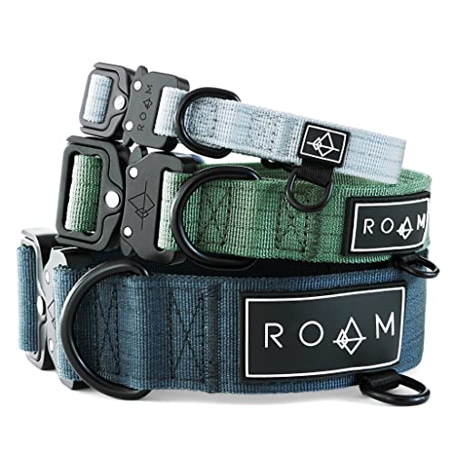 MADE to ROAM Premium Dog Collar - Adjustable Heavy Duty Nylon Collar with Quick-Release Metal Buckle (Maine Marina, Size 2)