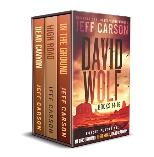 The David Wolf Mystery Thriller Series: Books 14-16 (The David Wolf Series Box Set Book 5)