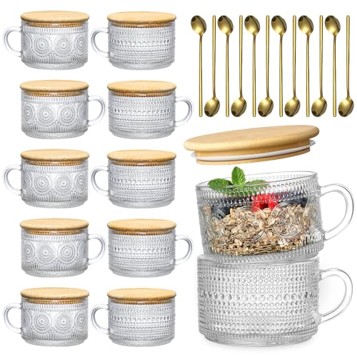 LANDNEOO 12pcs Set Irish Coffee Glasses, Vintage Coffee Mugs, Overnight Oats Containers with Bamboo Lids and Spoons - 14oz Clear Embossed Glass Cups, Cute Coffee Bar Accessories, Iced Coffee Glasses