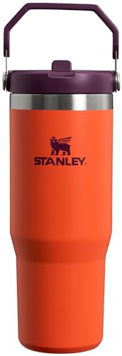 Stanley IceFlow Stainless Steel Tumbler Vacuum Insulated Water Bottle for Home, and Car Reusable Cup with Straw Leak Resistant Flip Cold for 12 Hours or Iced for 2 Days, Tigerlily Plum, 30 OZ _ 0.89 L