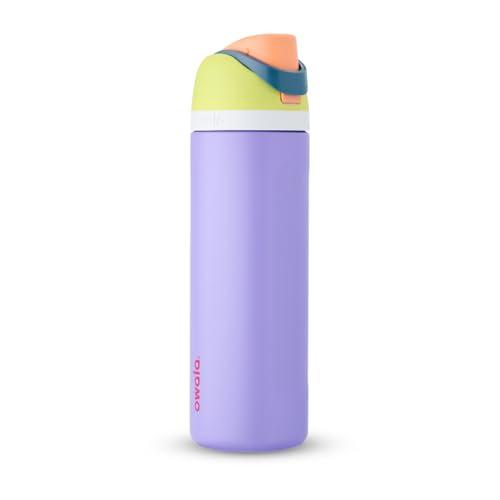 Owala FreeSip Insulated Stainless Steel Water Bottle with Straw for Sports and Travel, BPA-Free, 24-oz, Light Green_Lilac (Retro Boardwalk)