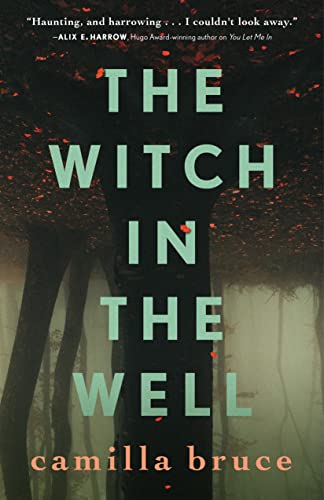 The Witch In The Well -